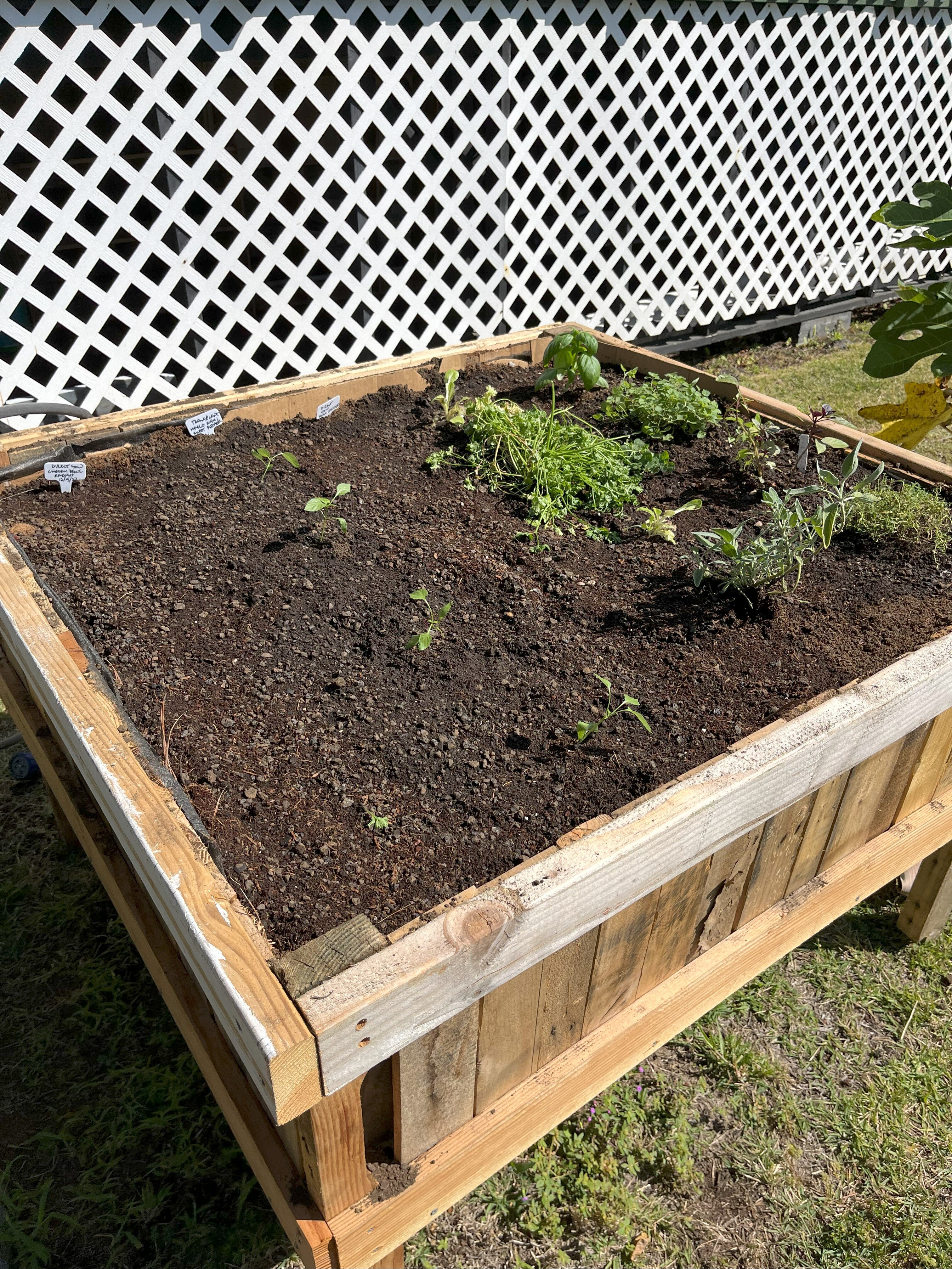 Completed Planter Box