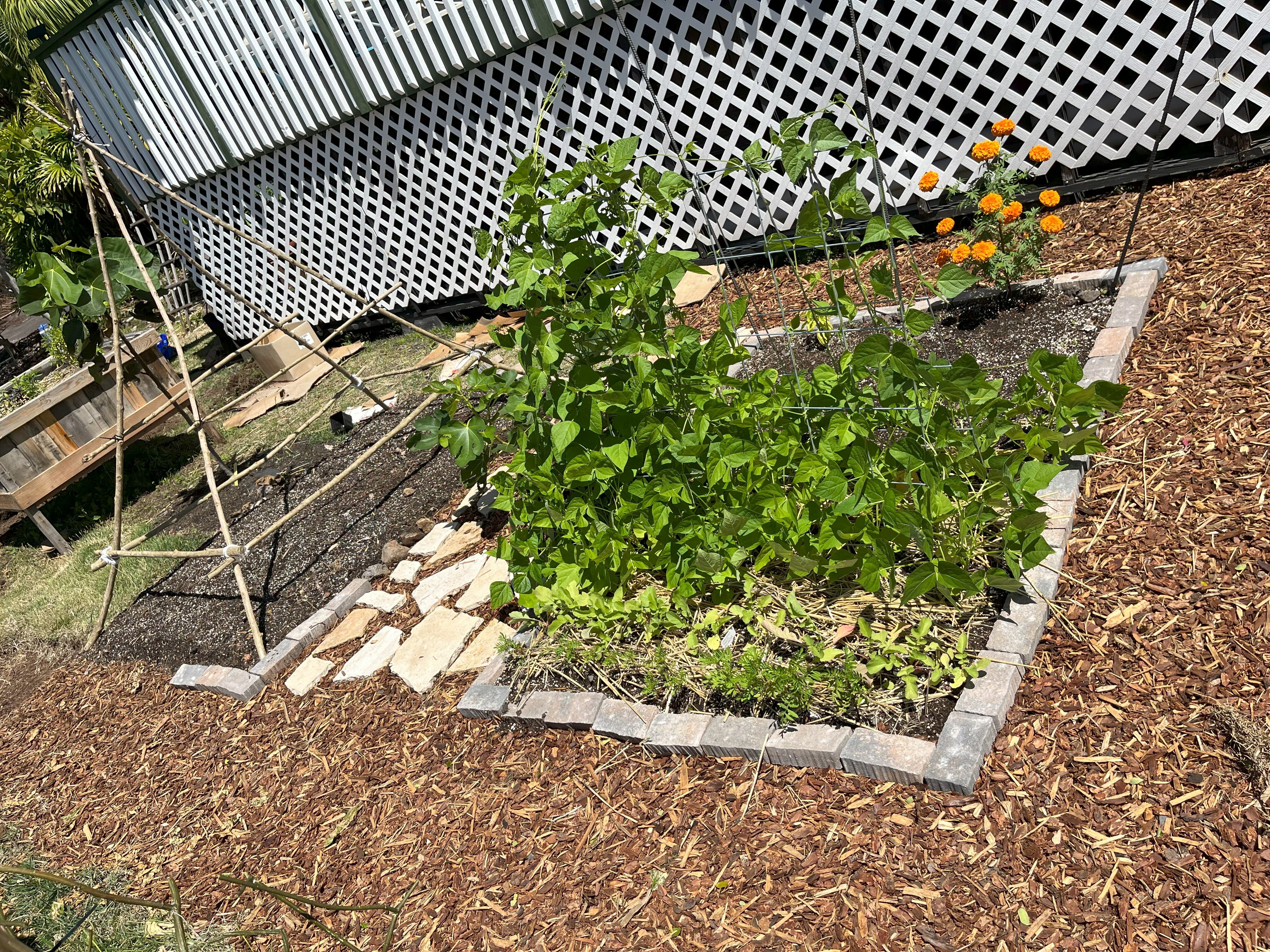 Food Not Lawns After