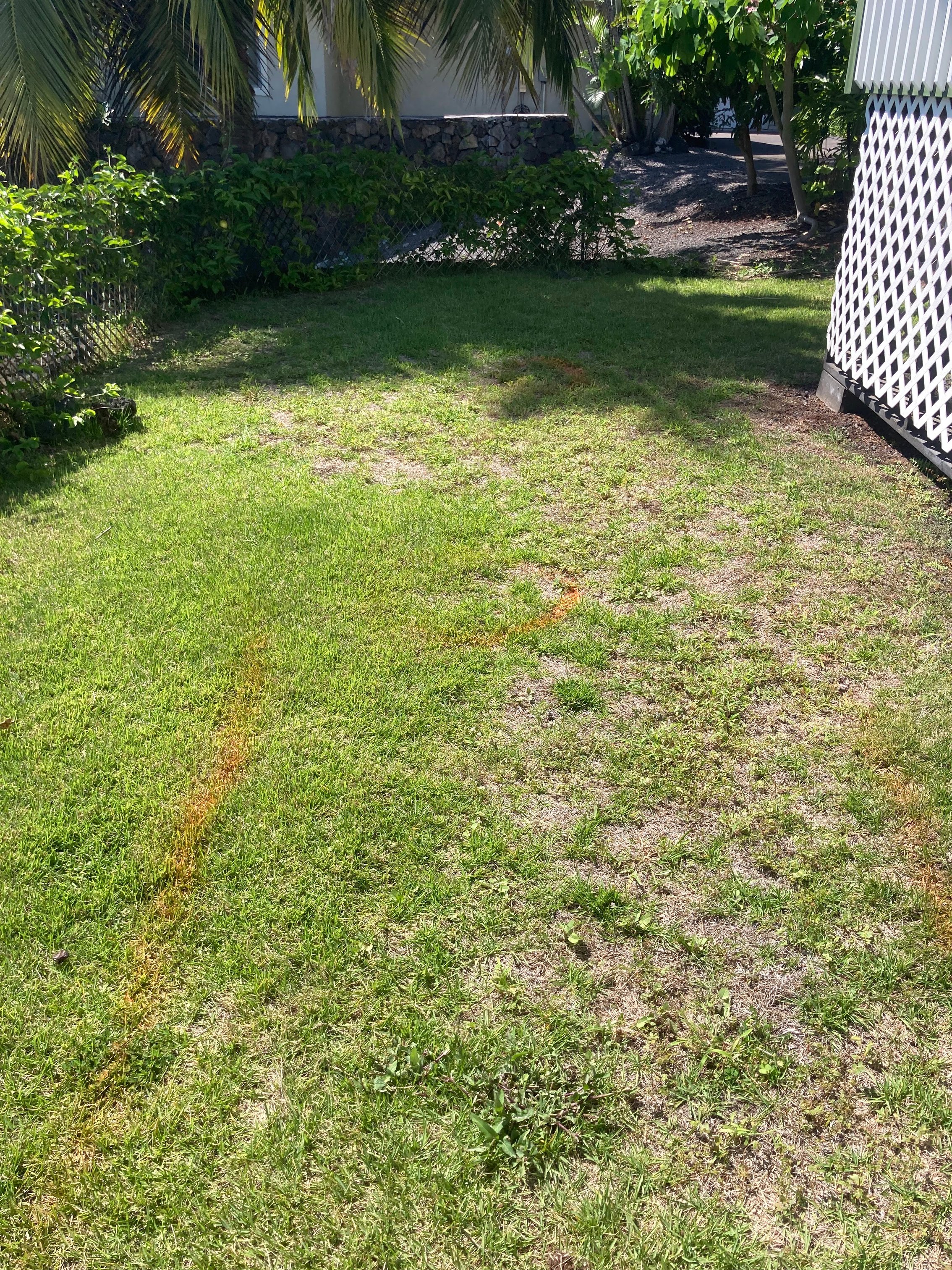 Food Not Lawns Before