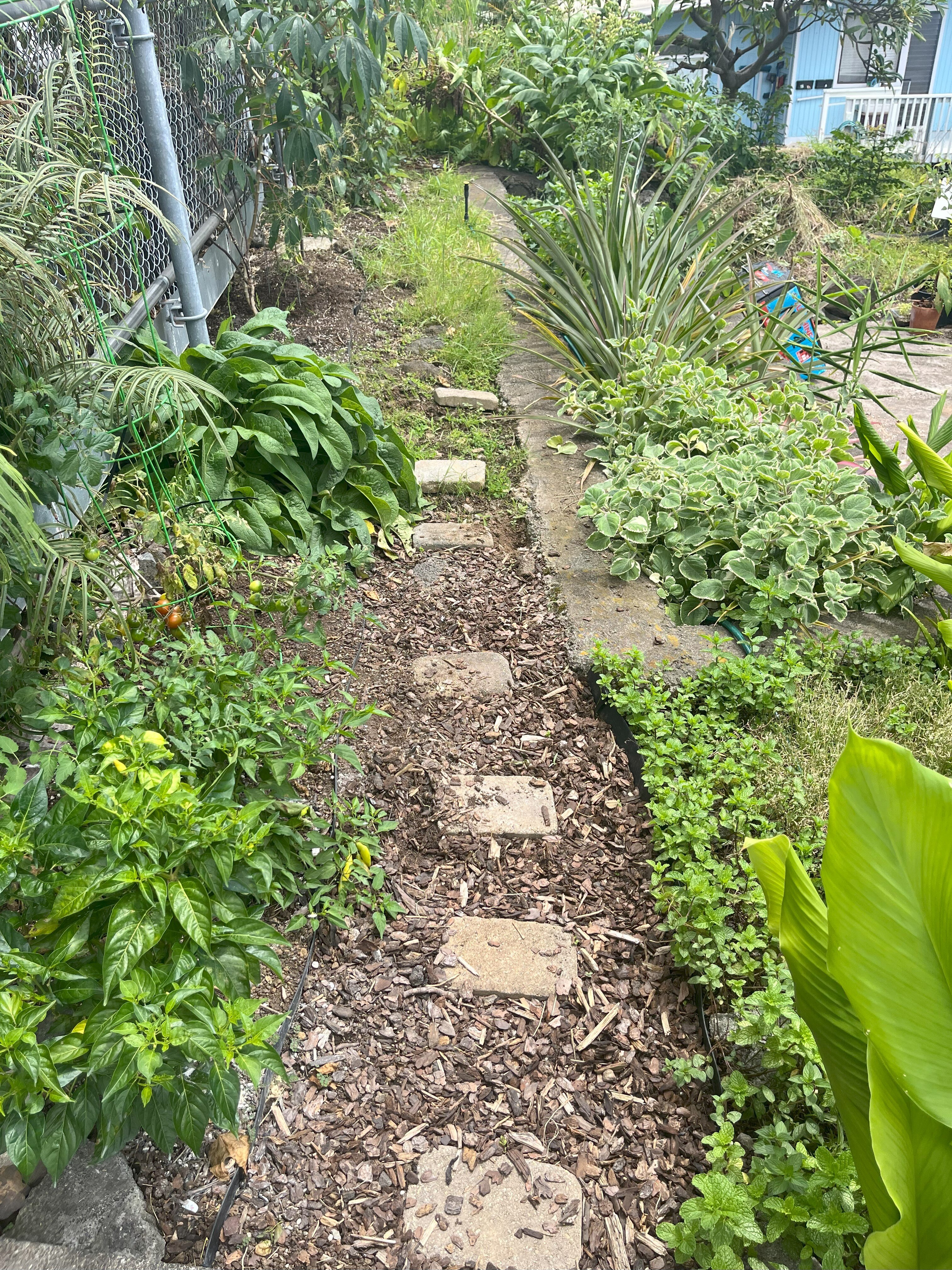 Garden Overhaul After 