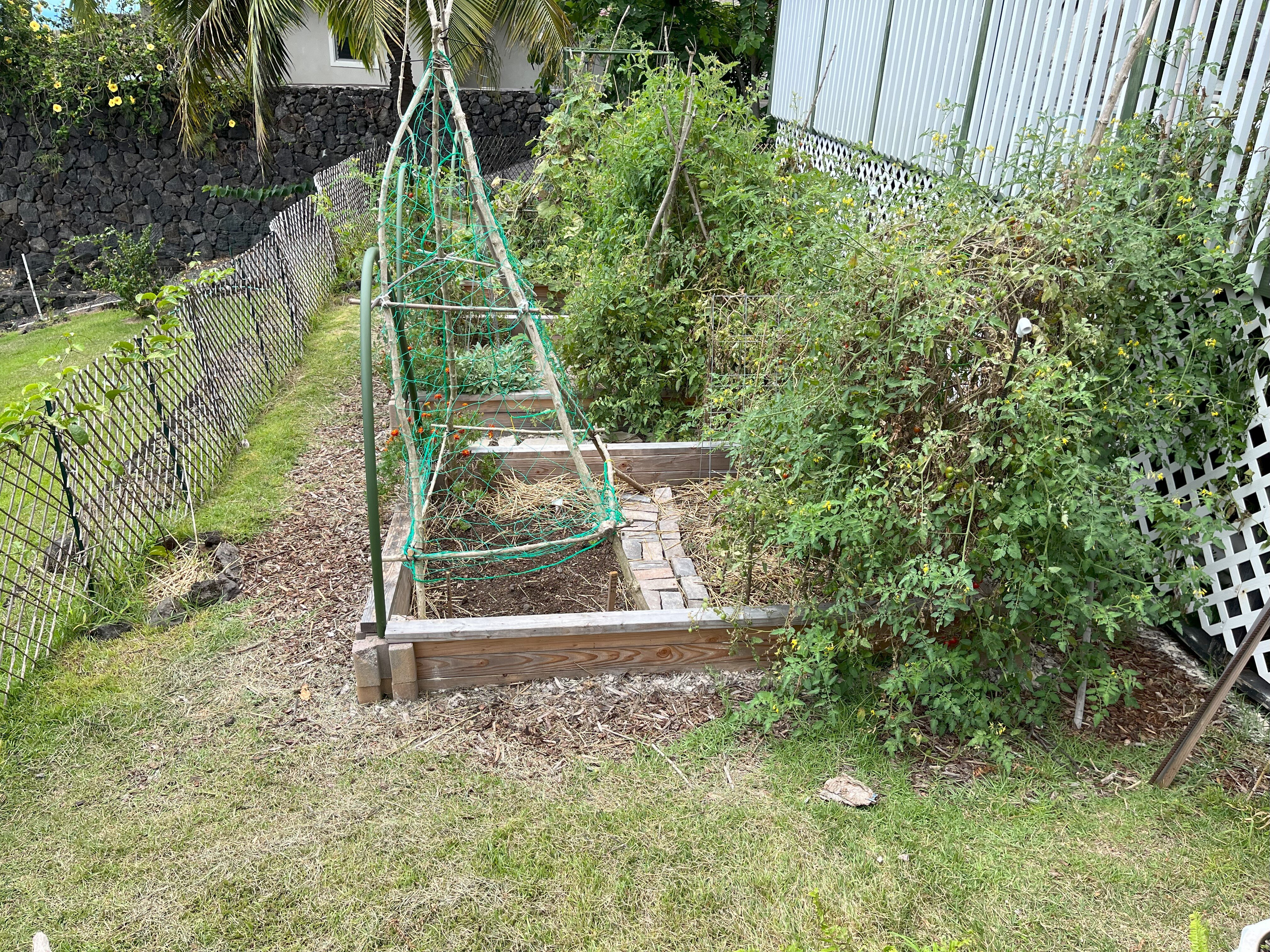 Grow Food Not Lawns 3