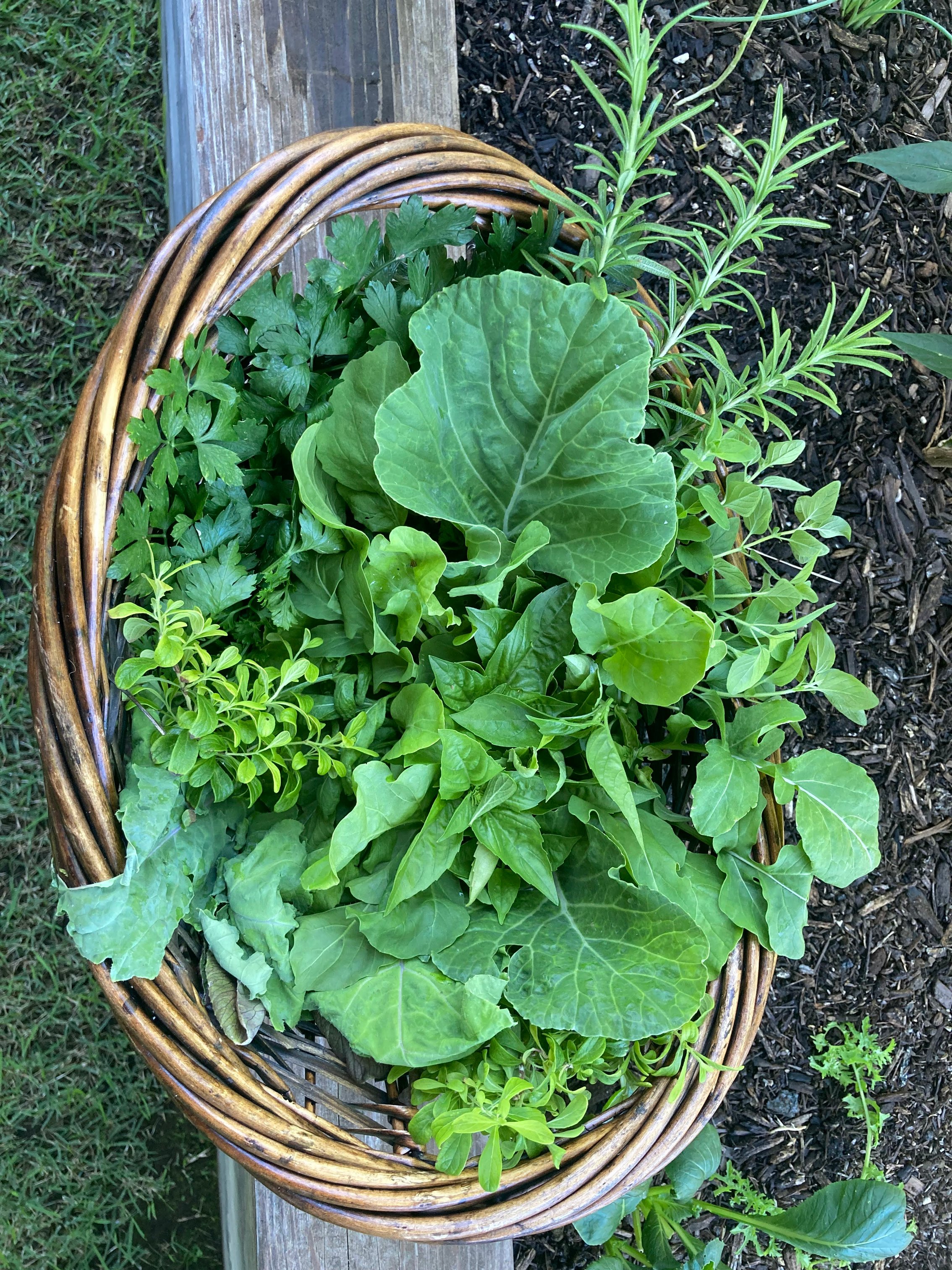 Veggie Harvest