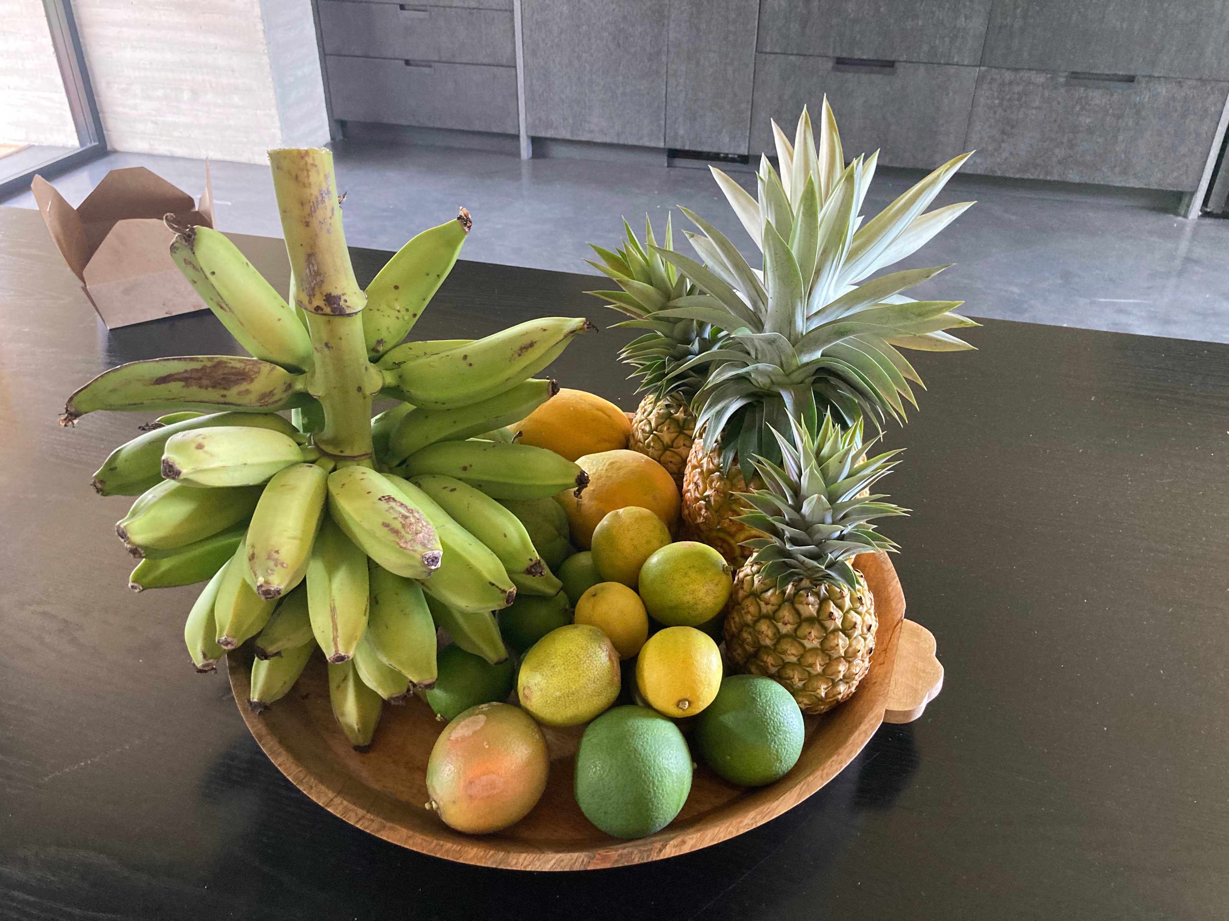 Fruit Forest Harvest 